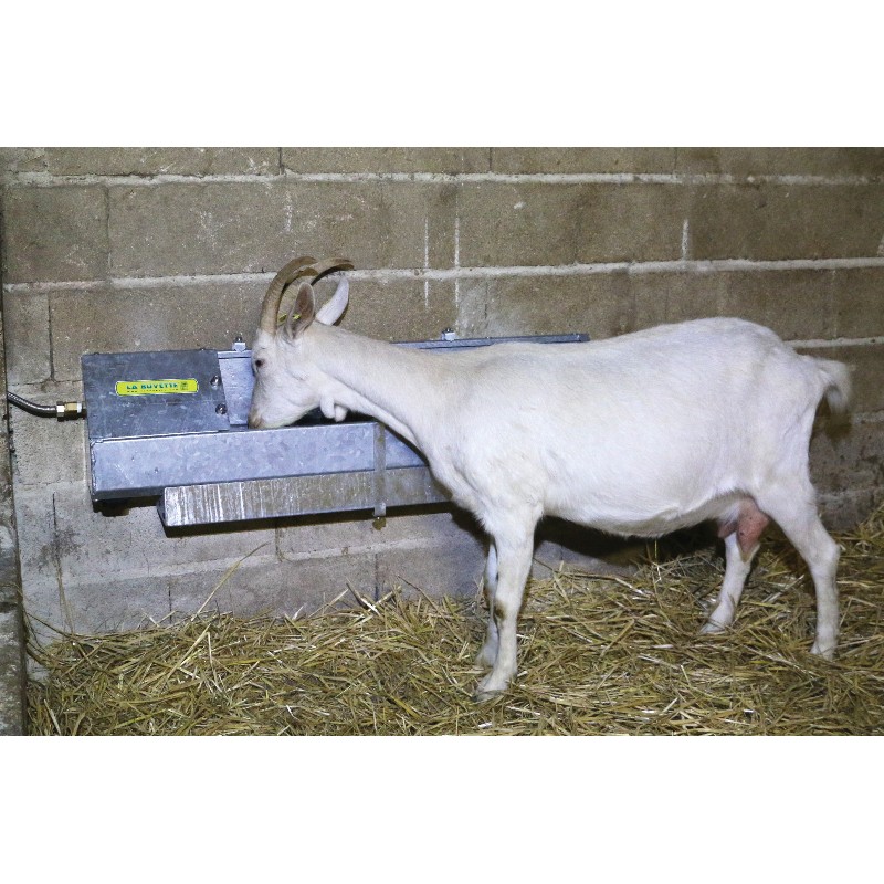 GAUN - Abreuvoir automatique ''Buvette'' pour lapin - Paddock Animal
